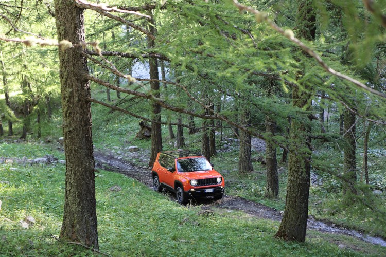 Jeep Renegade 2015 Trailhawk