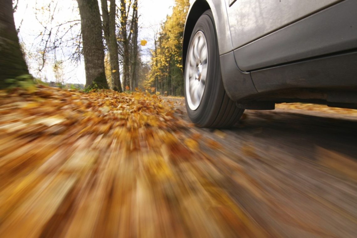 Autofahren im Herbst. Sicher durch die goldene Jahreszeit