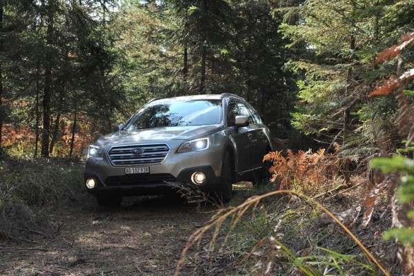 Subaru Outback 2015 Forest Foglights Front