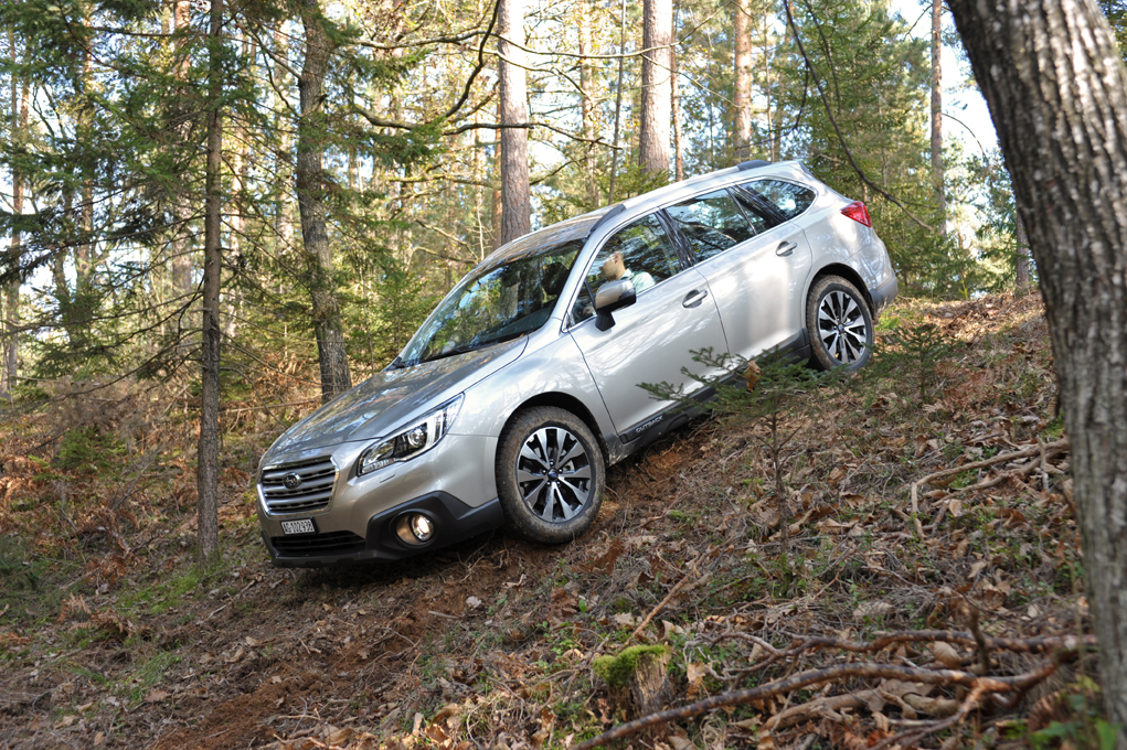 Subaru Outback 2015 Forest Downhill Side