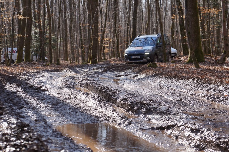 Peugeot Partner Dangel 4x4