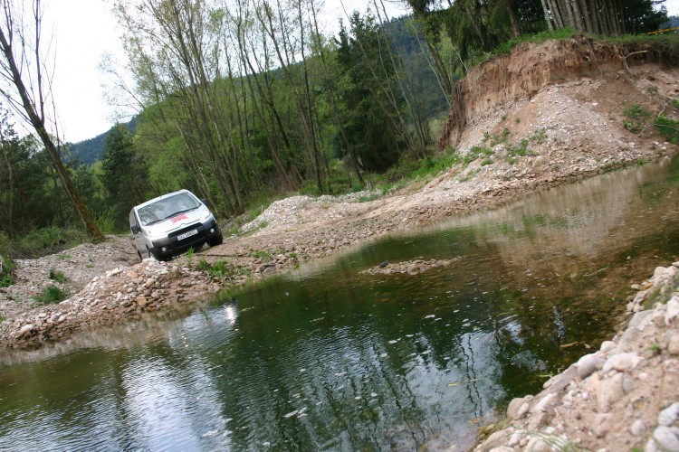 Citroën Jumpy Kastenwagen 4x4 Dangel 