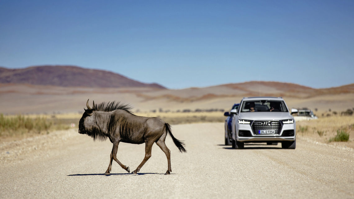 Audi Q7 letzte Testfahrt Namibia