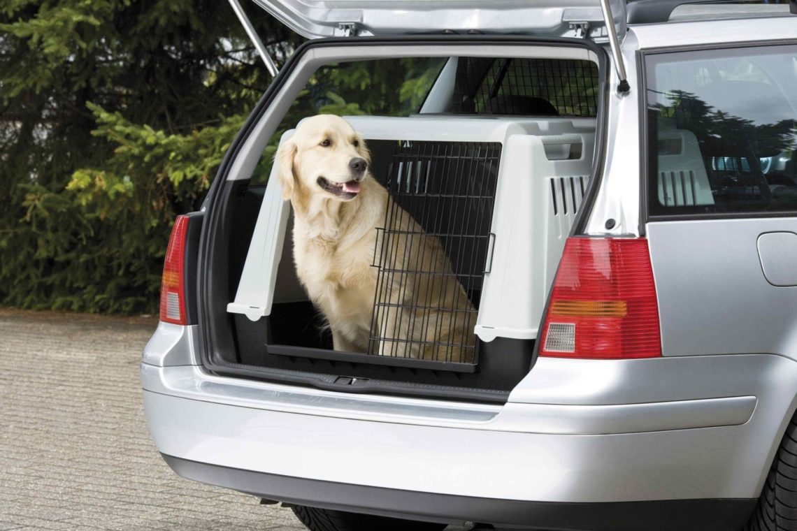 Hunde-Transportbox