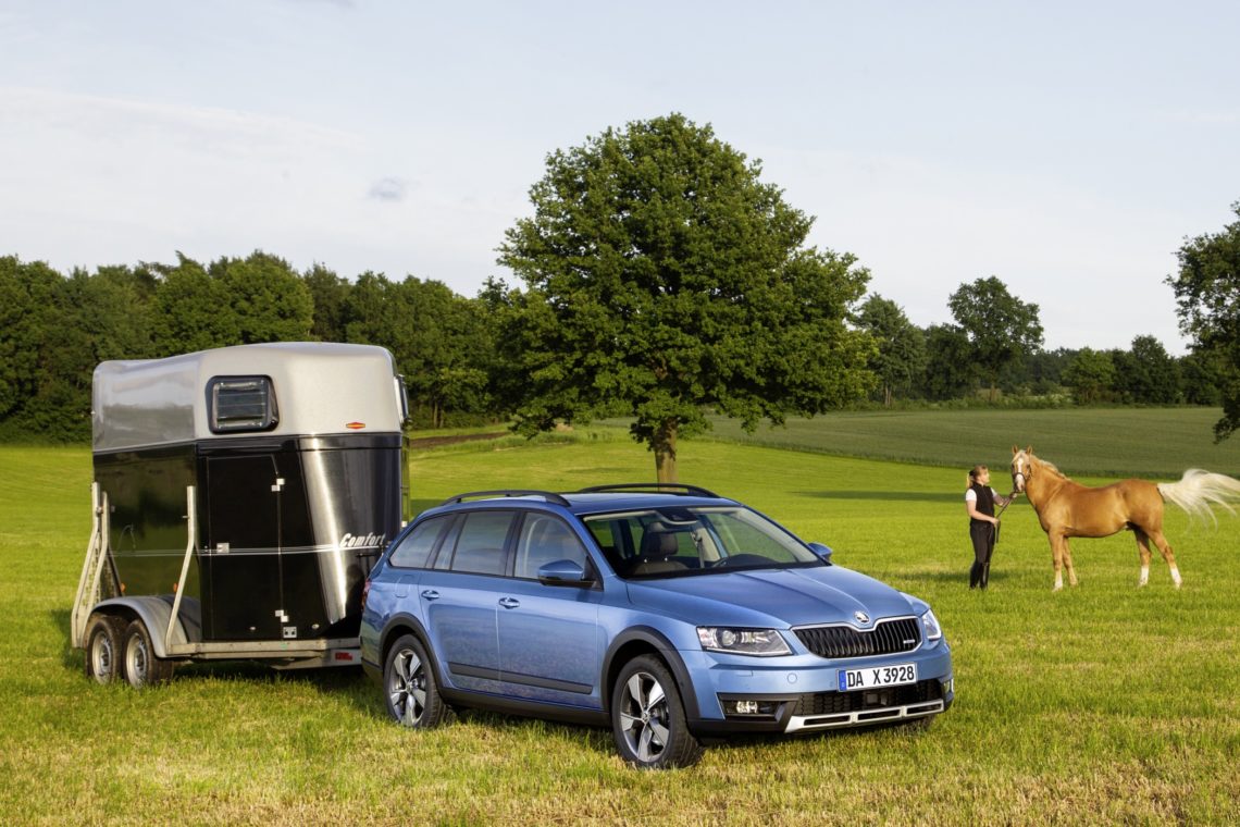 Skoda Octavia Scout taugt für Stock und Stein.