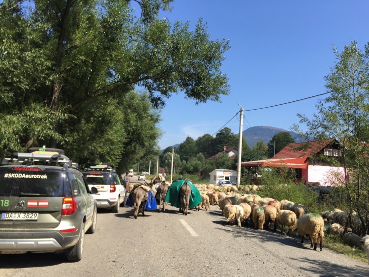 4x4Schweiz-Reportage: Mit dem Skoda Yeti durch die Karpaten