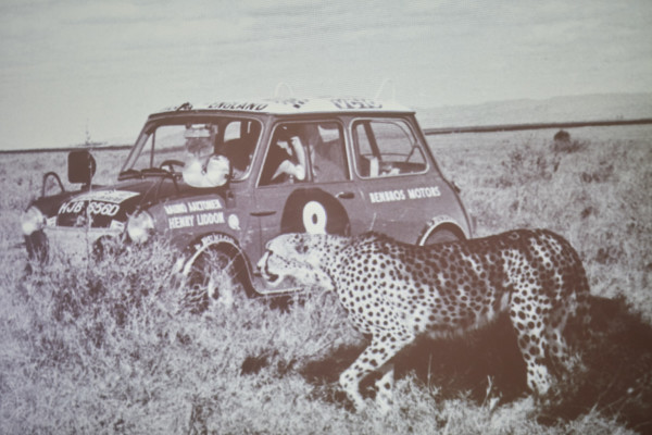 Rauno Aaltonen war einer der erfolgreichsten Rallye-Piloten der 1960er-Jahre, legendär sind seine Siege mit dem Mini Cooper. Bei der Rallye Safari, die als eine der härtesten Rallyes gilt, errang er sechs Mal den zweiten Platz.