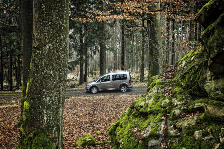 4x4Schweiz-Test: VW Caddy 4Motion Offroad im Wald