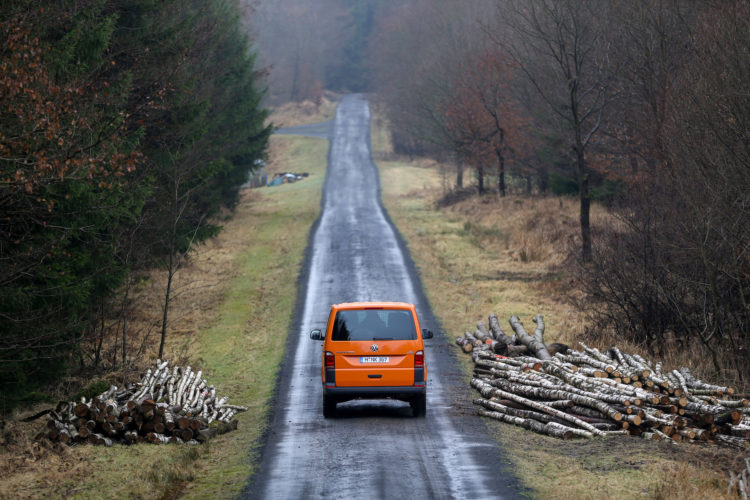 4x4Schweiz-Test: VW T6 Rockton 4Motion Offroad auf Waldweg