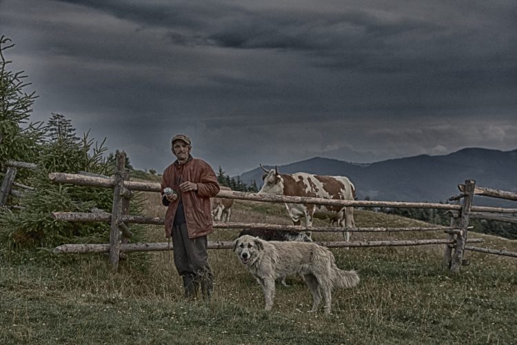 Offroad in den Ostkarpaten, Siebenbürgen, Rumänien: ein Hirte mit seinem Hund