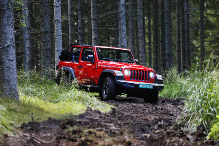 Jeep Wrangler JL im Wald