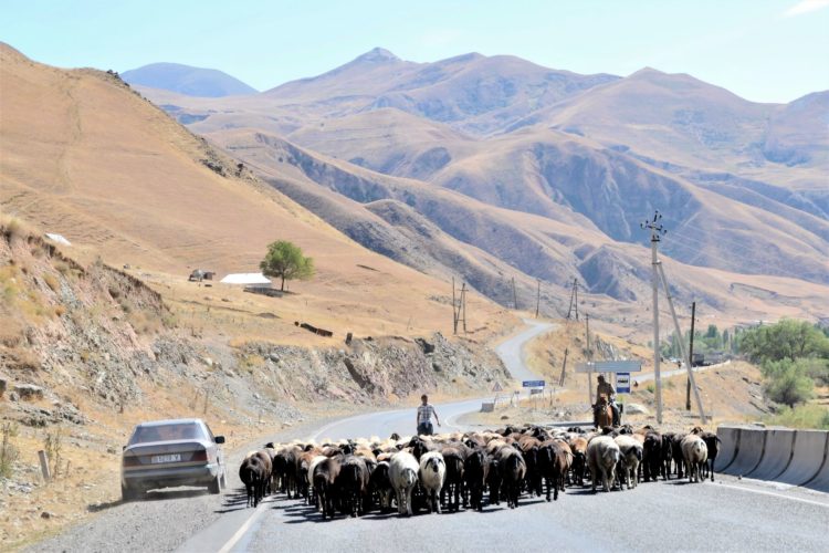 Tajik Rally 