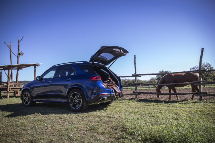 Mercedes-Benz GLE 300d 4Matic