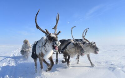 Dolganen, zu Besuch bei den nordsibirischen Rentiernomaden