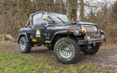 Jeep Wrangler YJ 2.5l 1990