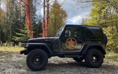 Jeep Wrangler 2 / TJ 4.0 6 Zyl Edelstück – Umbau, restauriert, rostfrei, offroad