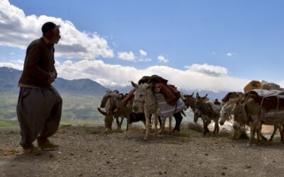 Unterwegs mit den Bachtiaren-Nomaden im Zagros-Gebirge